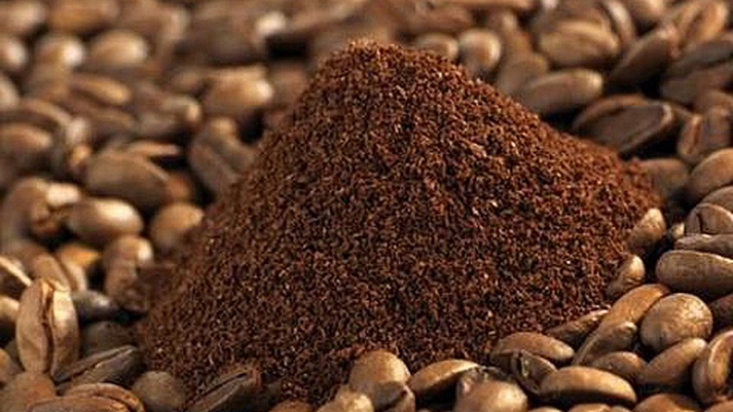 kiến thức coffee, loại coffee, cà phê bột là gì? bột cà phê nguyên chất giá bao nhiêu?