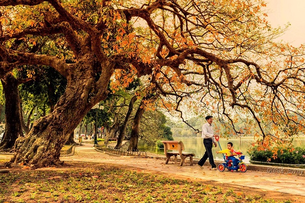 thời tiết hà nội, thời tiết hà nội từng mùa – thời điểm du lịch lý tưởng