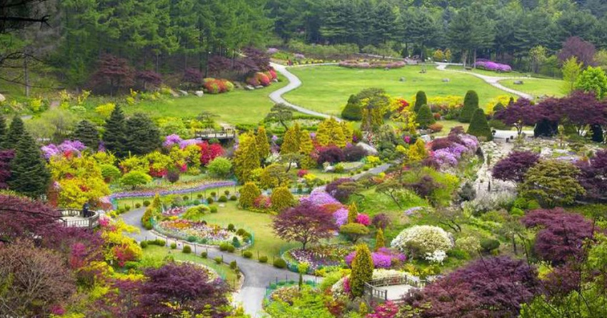 Các Địa Điểm Du Lịch Hàn Quốc Mùa Xuân Đẹp Mê Mẩn, HÀN QUỐC