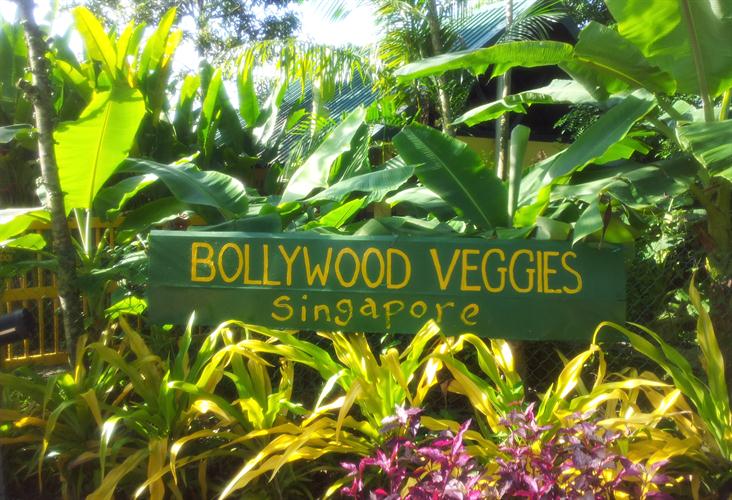 Khám phá Vùng đất hoang dã miền Tây ở Singapore, tại sao không?