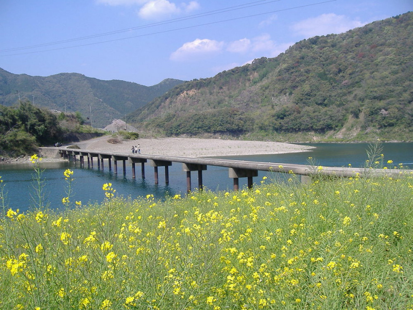 9 Gợi Ý Du Lịch Shikoku Rất Đáng Trải Nghiệm, Shikoku, NHẬT BẢN