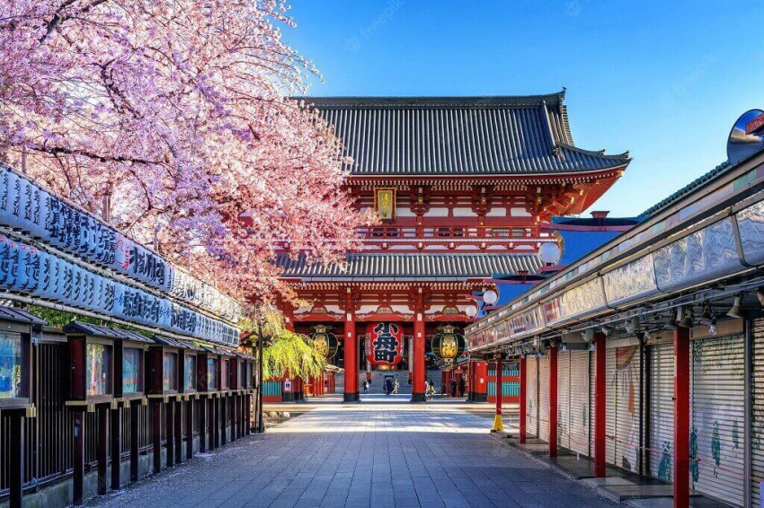 tokyo, thời điểm đi du lịch, nhật bản, đông á, châu á, thời điểm du lịch tokyo nào tốt nhất trong năm?