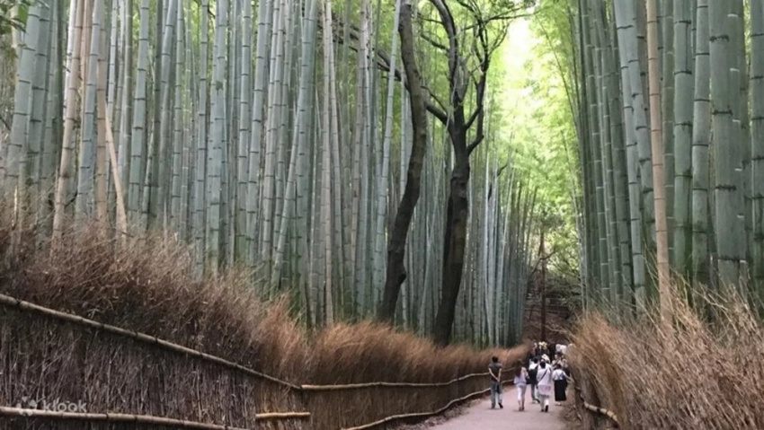 20 Địa Điểm Du Lịch Kyoto Nổi Tiếng Đẹp Hơn Tranh Vẽ, Kyoto, NHẬT BẢN