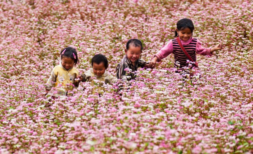 Tất tần tật lịch các mùa hoa nở ở Mộc Châu