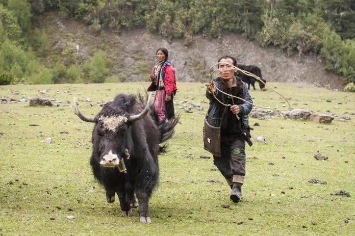 du lịch, châu á, vẻ đẹp của con đường mòn xuyên bhutan: đất nước hạnh phúc nhất thế giới